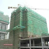 Factory direct sale scaffold safety net construction price with Quality Assurance