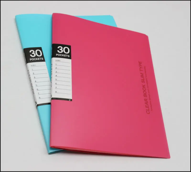 A430p File Folders Clear Book With Inner Bag&your Own Color/coloring
