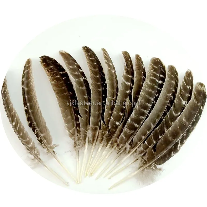 Wholesale turkey Wing Quill Feather Natural Wild Turkey Rounds