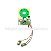 Recordable Voice Module for Greeting Card Music Sound Talk chip musical