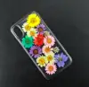 Wholesales Creative Muti-color Real Dry Flower Mobile Phone Shell For Iphone x 10