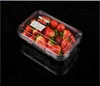 Safety Food Grade PET Plastic Blister Packaging Fruit Clamshell