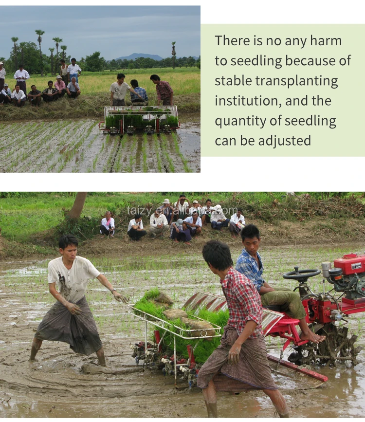 Rice planting machine (8)