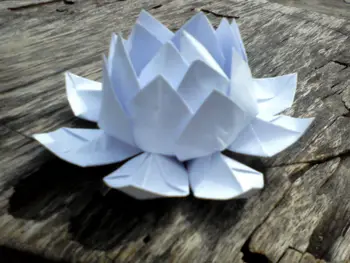 White Origami Lotus Buy Origami Flowers Product On Alibabacom