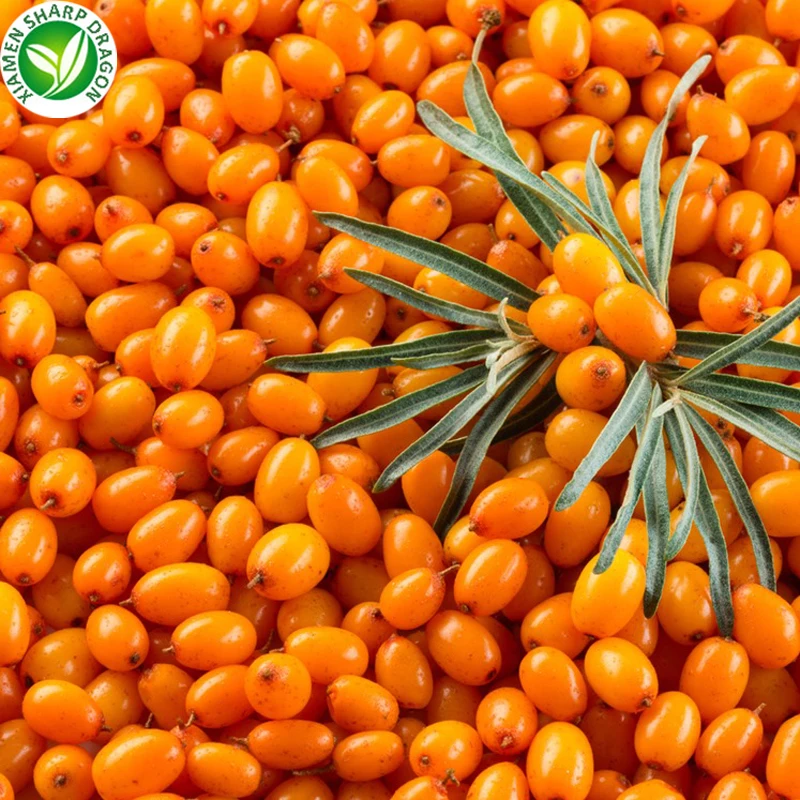 Sea buckthorn перевод. Sea Buckthorn облепиха что это. Облепиховые ягоды. Облепиха быстрозамороженная. Замороженные ягоды облепиха.