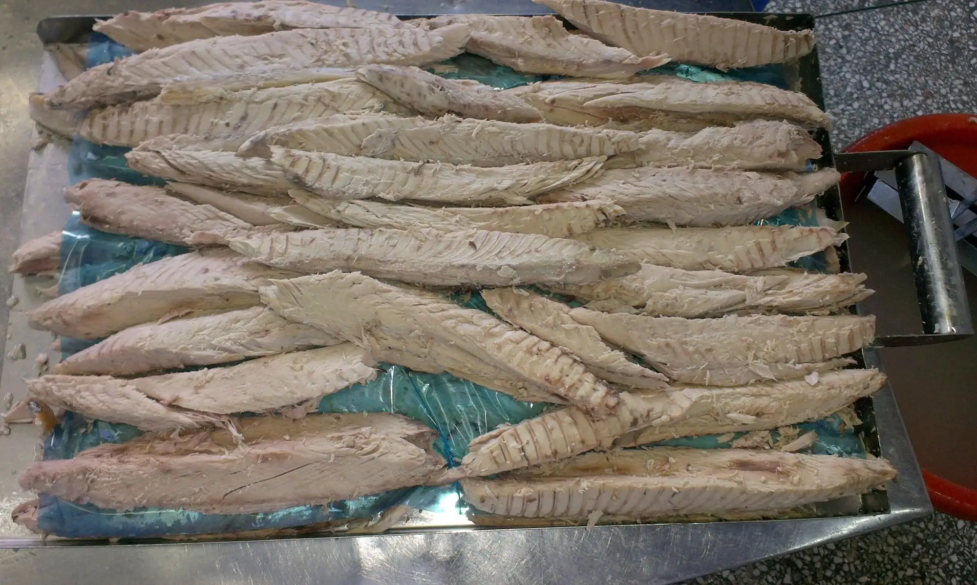 precooked skipjack loins 1.jpg