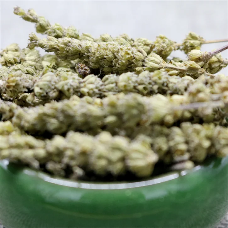 schizonepeta spike (2).png