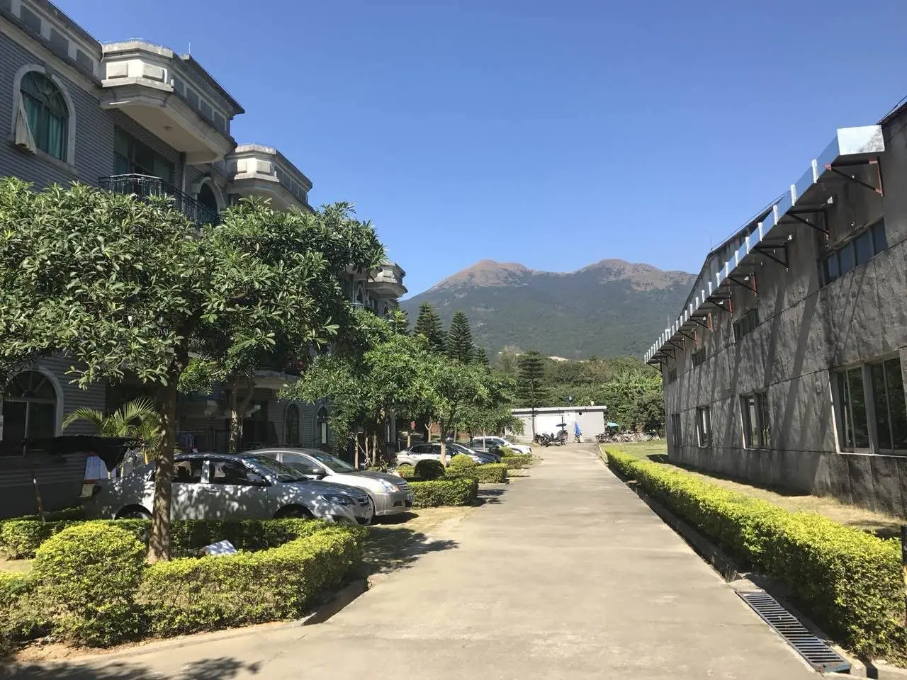 mmexport1523339282072