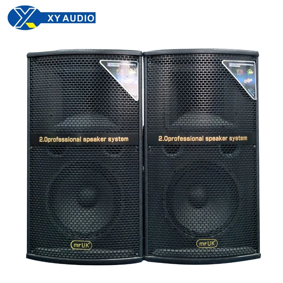 Professional Stage Speaker 2.0 Active Professional Concert Stage
