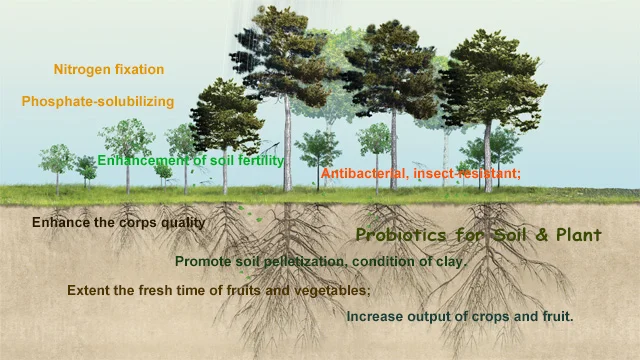 biofertilizer.png