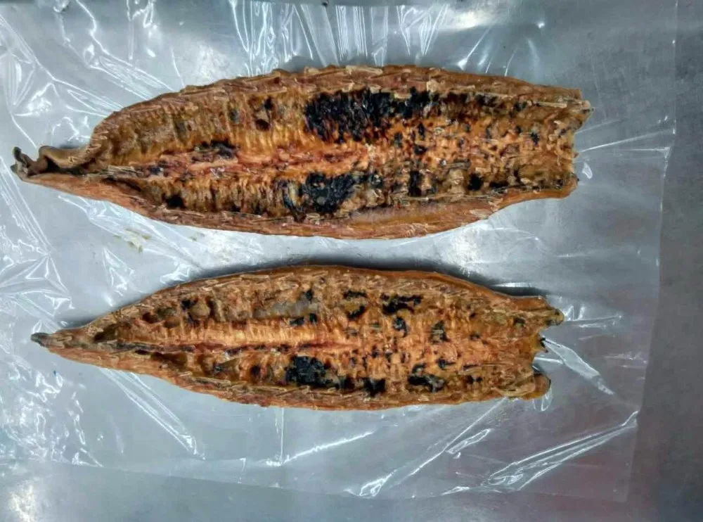 Factory Price High Quality Sushi roasted fresh eel fish frozen
