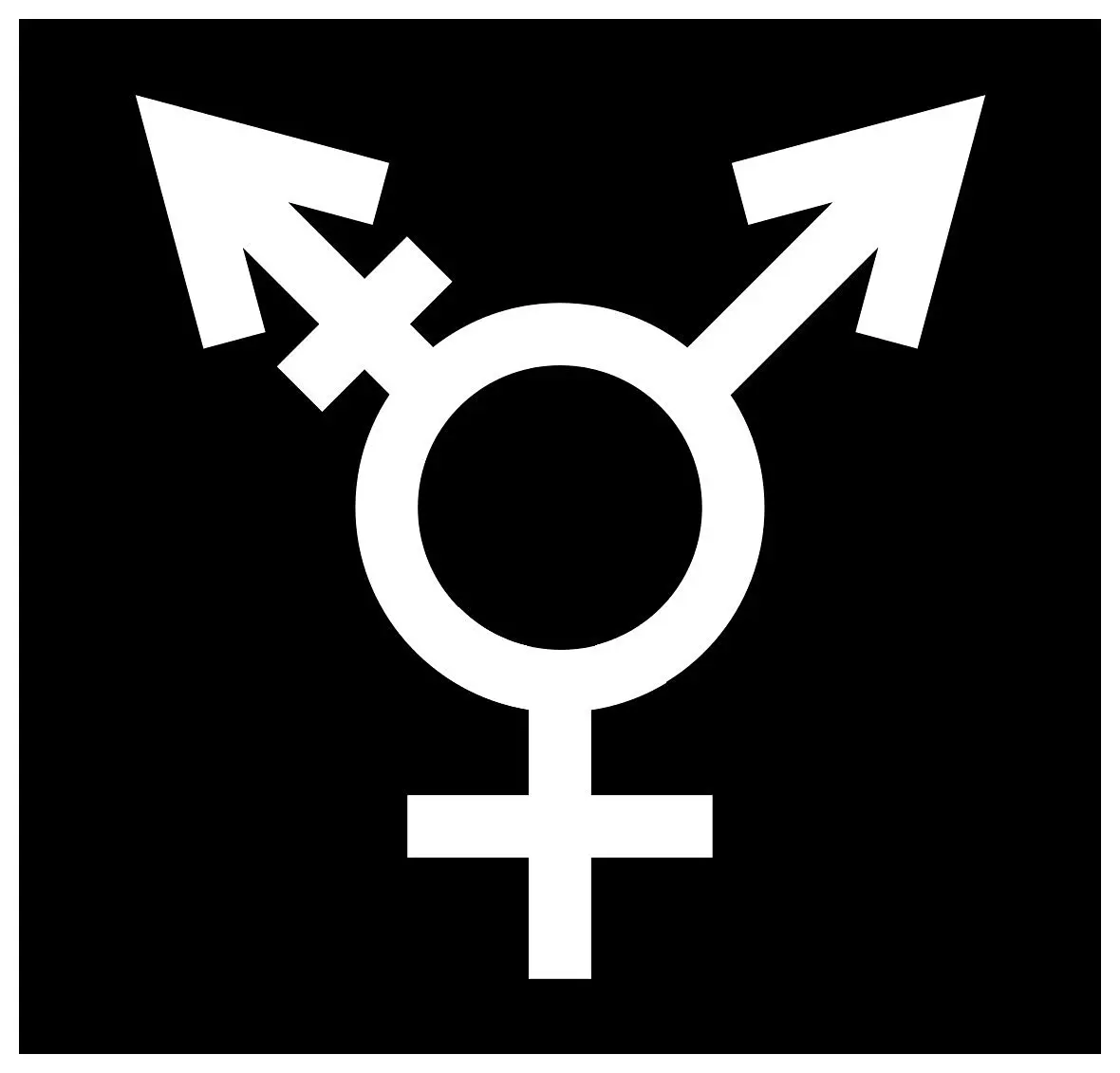 Buy Sticker Decal Transsexual Transgender Symbol Logo Identity Lgbt Trans Woman Man In Cheap