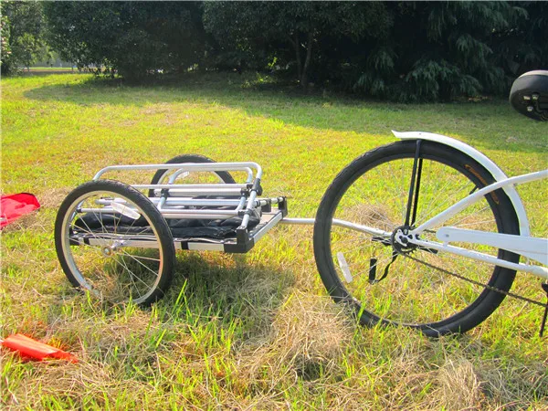 beach bike trailer