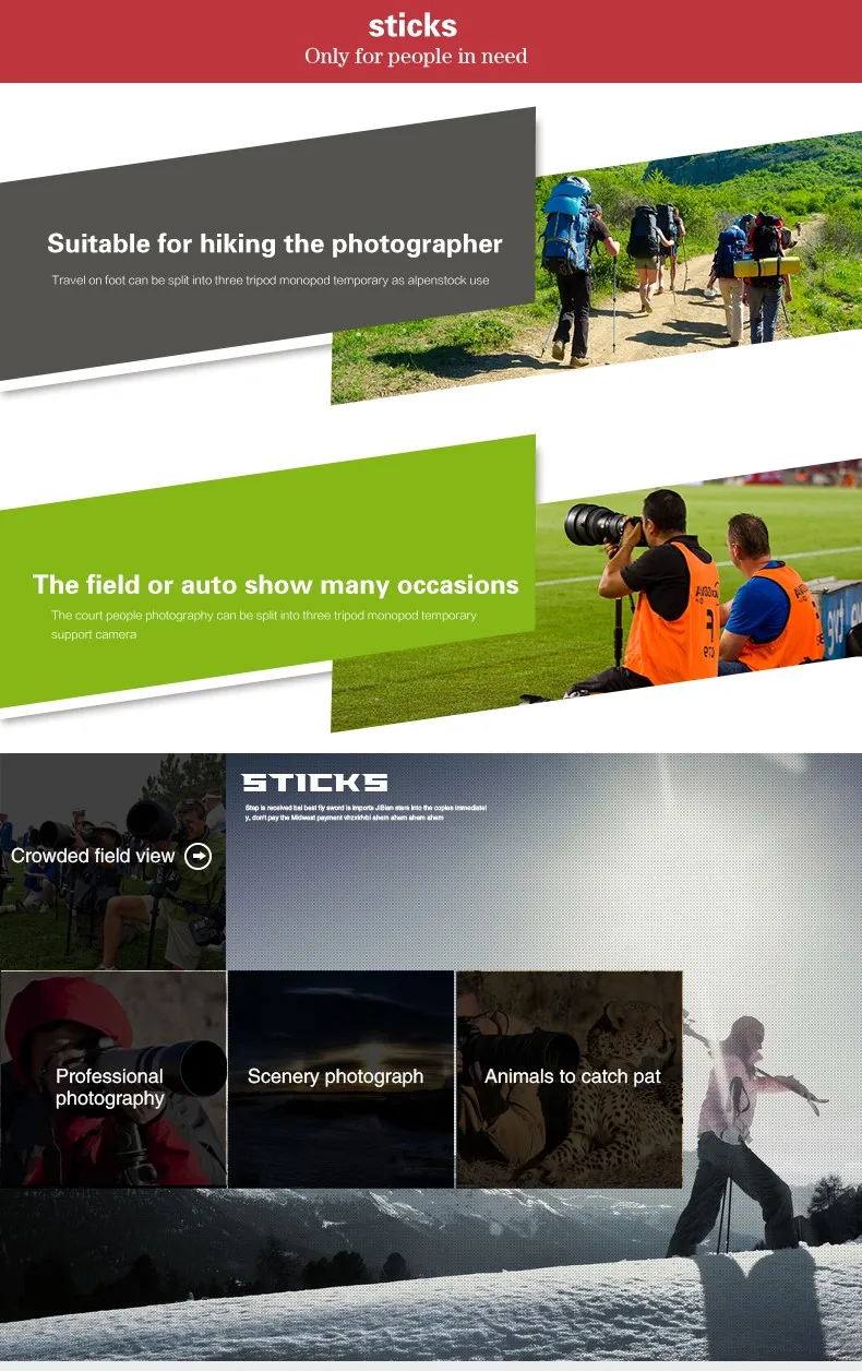 QZSD-Q238 Panhead handheld camera monopod digital and video yunteng berno OBO camera monopod photography accessories