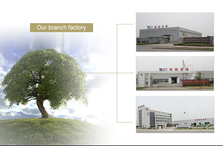 Slew Ring Manufacturer For Shipboard Cranes