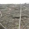 SNS rope netting slope protection netting rock fall wire rope net rockfall netting