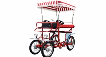 4 person pedal cart