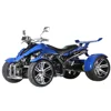 /product-detail/2019-top-quality-hot-sale-350cc-quad-bike-513443632.html