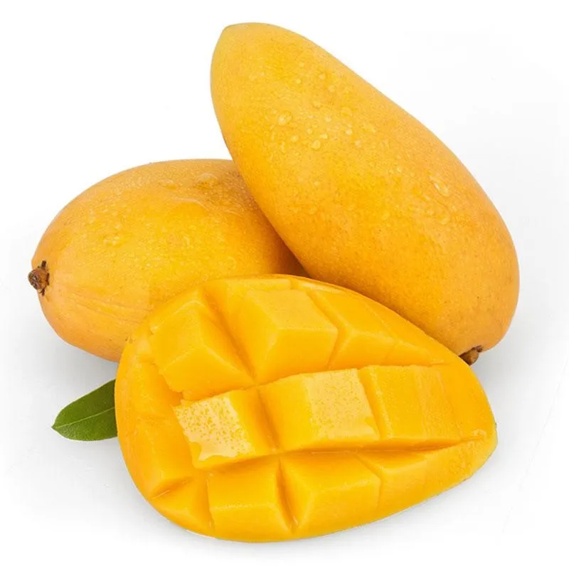 best price 250g/l sc, 15%wp plant growth reg