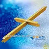 Building Material FUT Suspended Ceiling t Bar