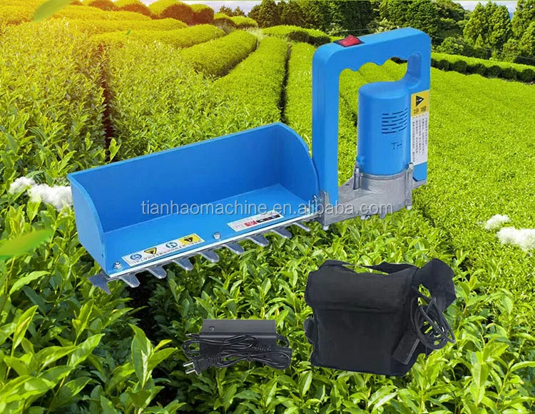 battery tea harvester.jpg