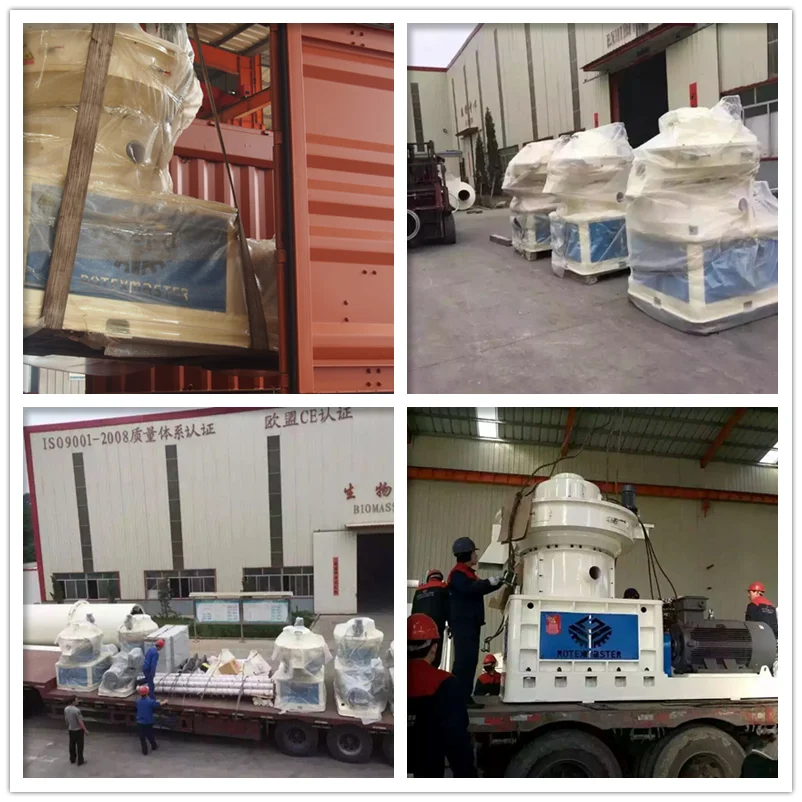 600 KG/H Capacity Easy To Operation Popular Flat Die Wood Pellet Making Machine