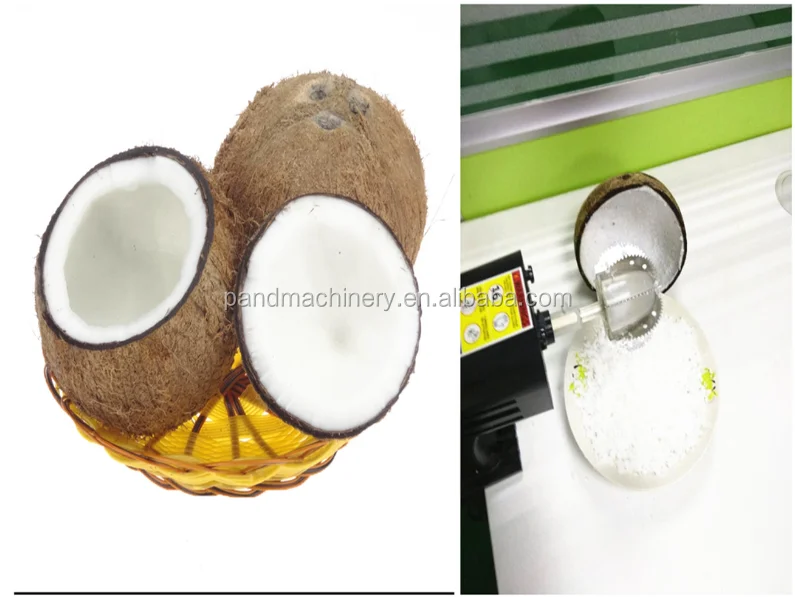 Buy Nesday Electric Coconut Scraper, 2 Speed Coconut Scrapers Electrical  with Free Sharpener, Black Online at desertcartEGYPT