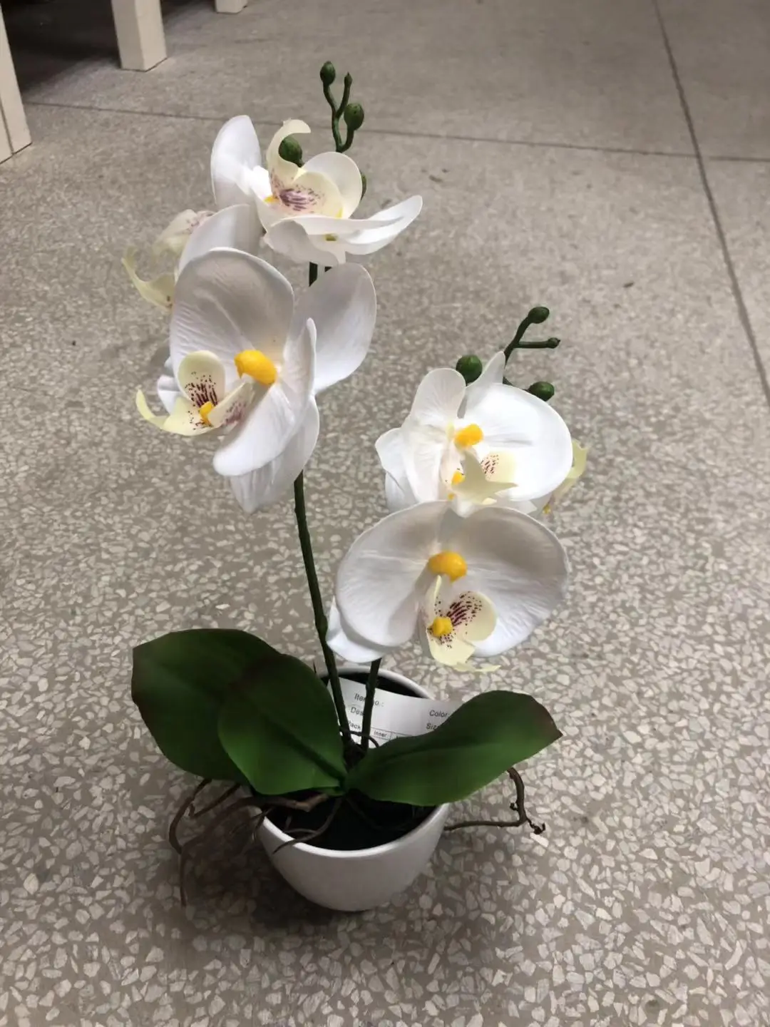 Wholesale Silk Artificial Orchid Flower Arrangements Artificial