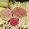 buyers of groundnuts buyers of blanched peanuts importer