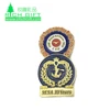 Factory supply brass stamped gold plating embossed 3D soft enamel eagle logo scout lapel pin badge