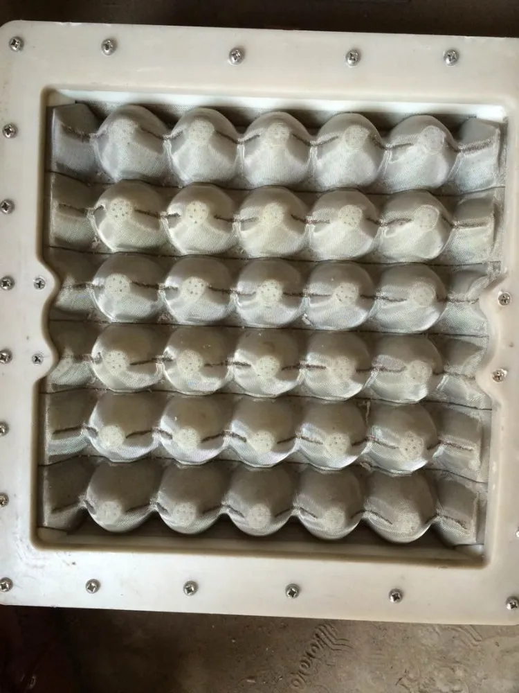 Small Egg Tray Making Machine With Single Layer Metallic Dryer Buy