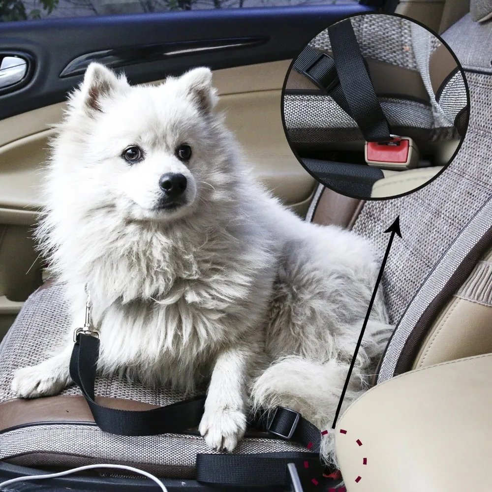 Автошлейка для собак в автомобиль. Шлейка для перевозки собаки в машине. Ремень безопасности для собак в автомобиль. Ремень безопасности для кошек. Машинки pets