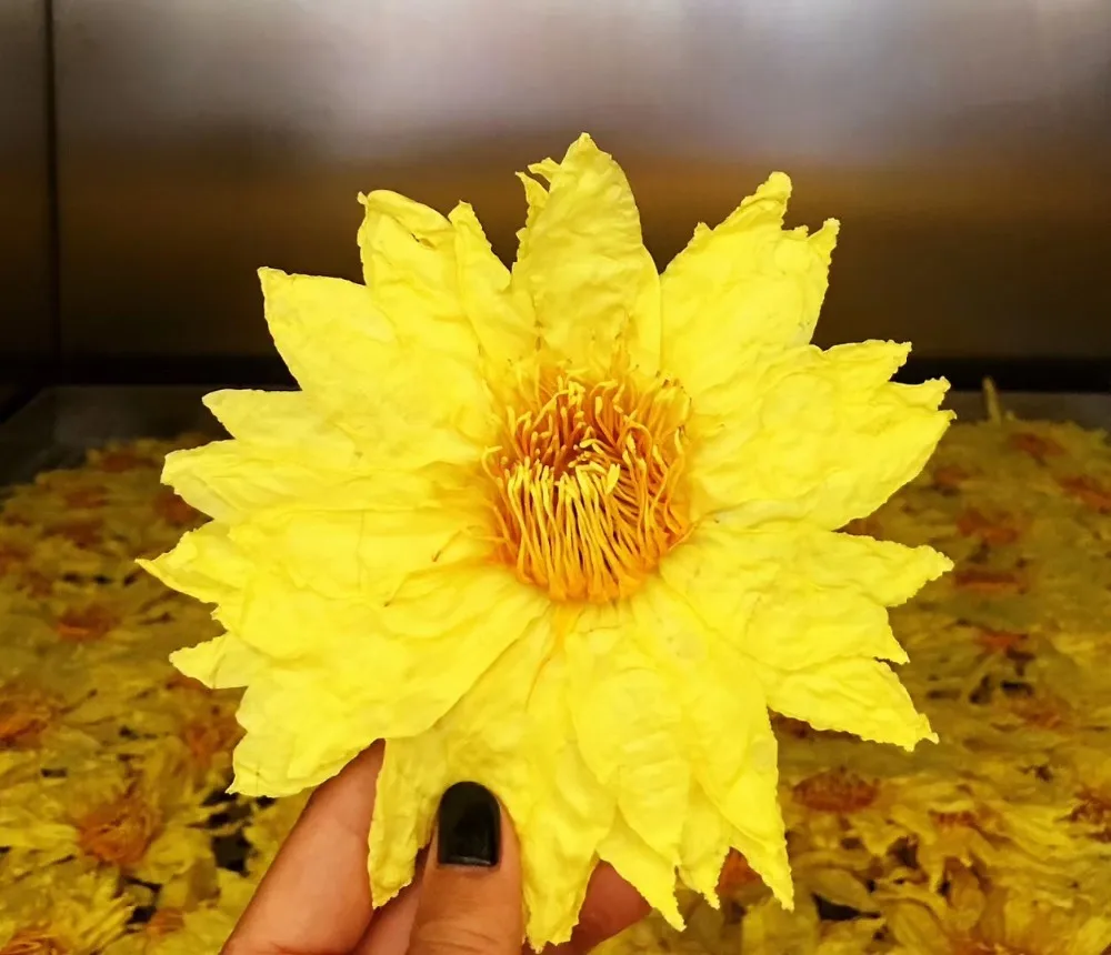 Organic flower tea perfume lotus tea blooming flower tea ball - 4uTea | 4uTea.com