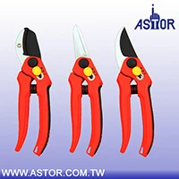 Garden Shears 11-252B.jpg