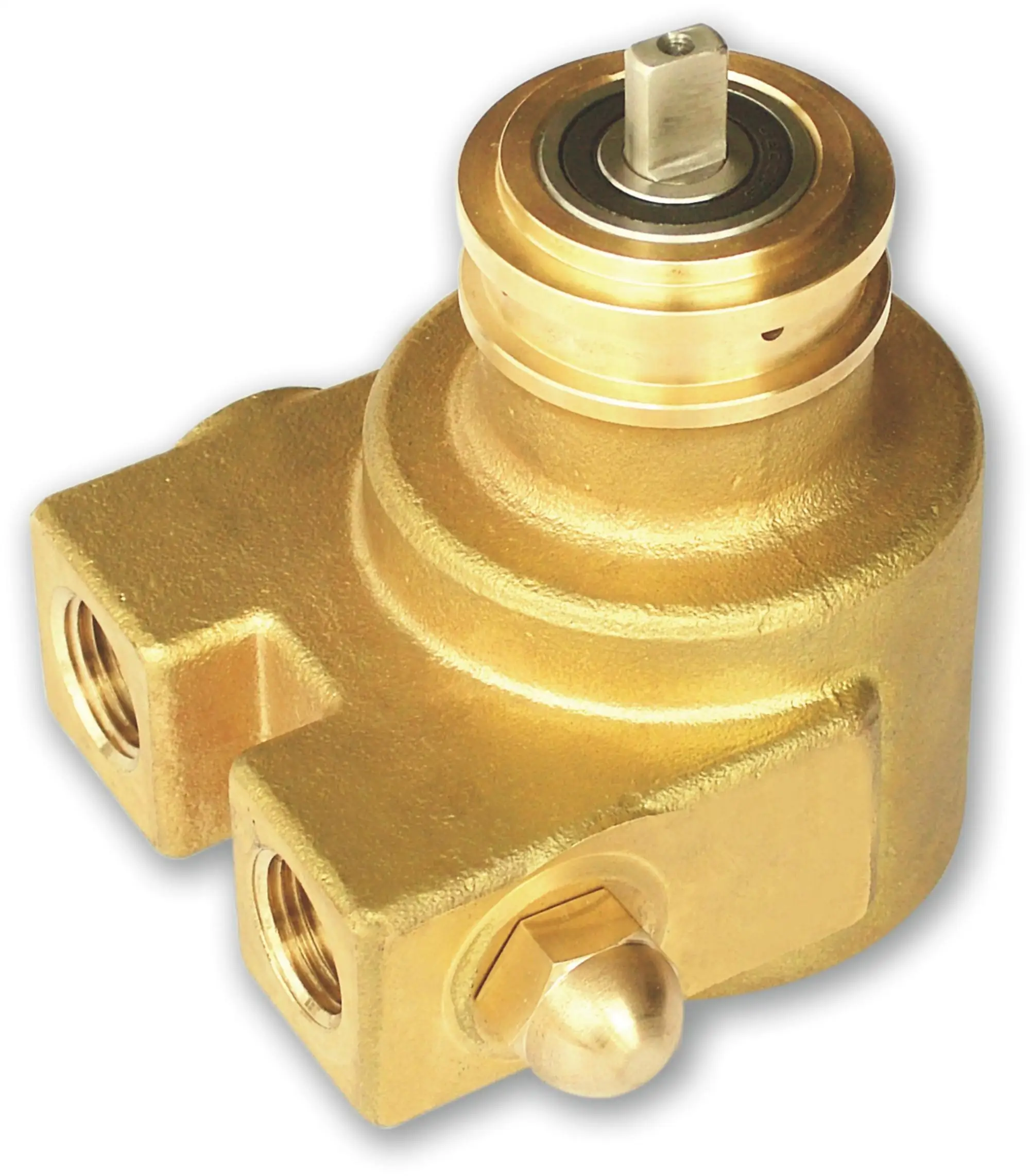 Rotary Vane Water Pump B125F, View Rotary Vane Pump, CANGSONG Product Details from Zhejiang