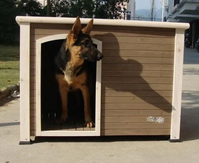 dog house for sale