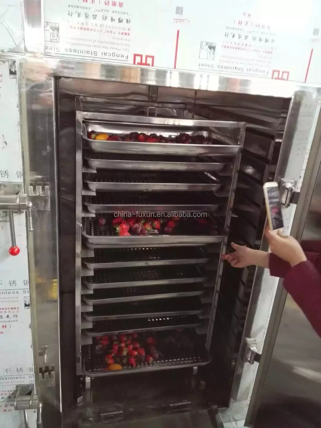 China Best Selling Stainless Steel Herb Dryer / Industrial Herb Drying