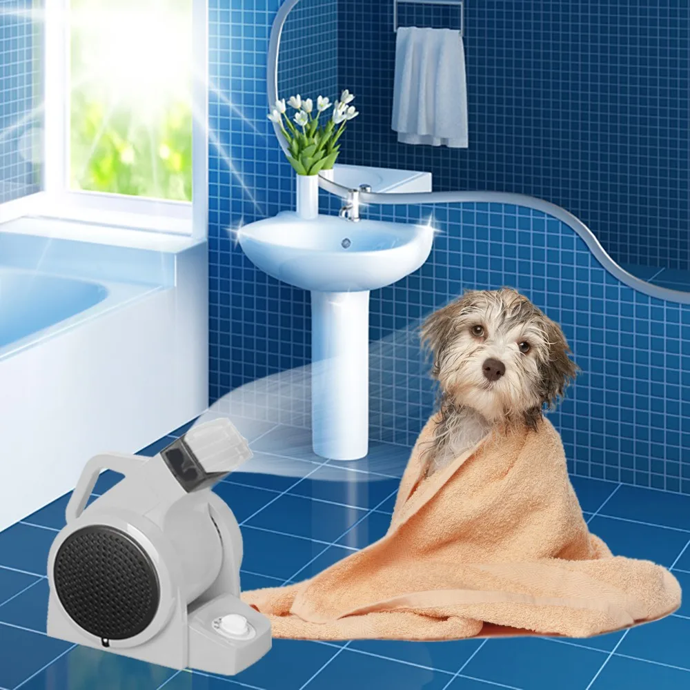 pet-dryer-1000x1000px-scene-b.jpg