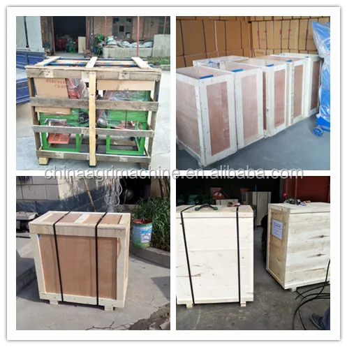 Peanut Seeds Baking.png