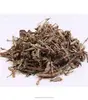 Wild dry Common Knotgrass Herb slices of whole part from Polygonum aviculare L.for natural herbs