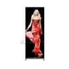 Mini Slim Thin Commercial Indoor P3 LED Poster Screen