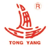 Tong yang group