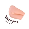 The medical operation model of rectal examination human hip model medical school student training tool for sale