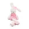 Cute Pink Rabbit Doll And Blue Doll Rabbit