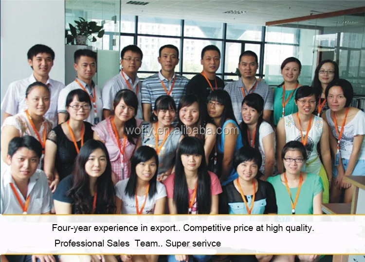 company sales.jpg