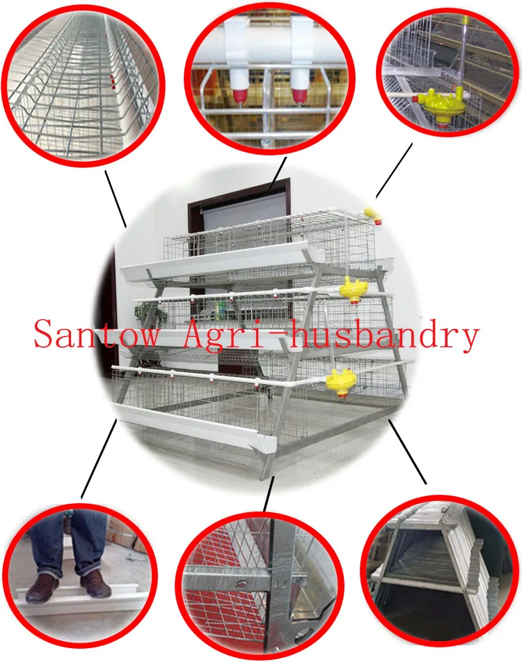 Automatic chicken layer cages hot galvanized poultry cage price battery cage laying hen cage design for Uganda Nigeria Kenya Africa Bangladesh Sri Lanka Philippines