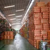 Guangzhou used clothes in bales price second hand clothes seeking business partners