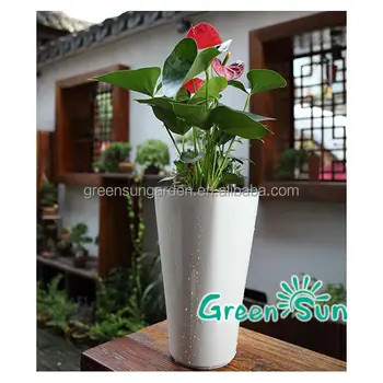 White Plastic Garden Tall Plant Pots White Plastic Garden Tall Plant Pots