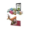 Magic Flash Card set for kids 3d flash educational cards with card games in app