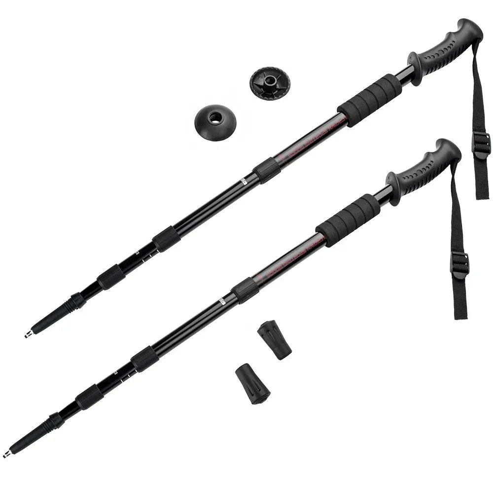 northern paddler sportsman 12.6 canoe